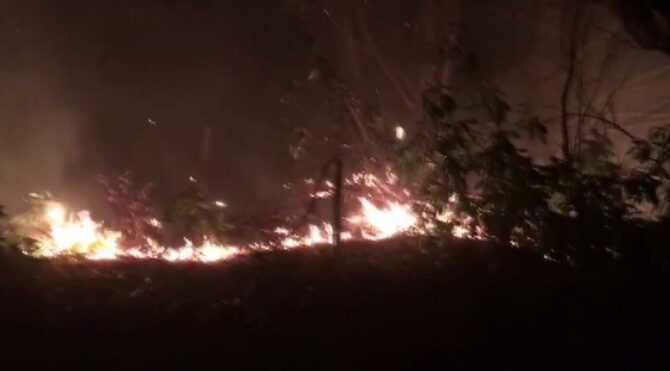 Korkutan orman yangını! Köylüler seferber oldu