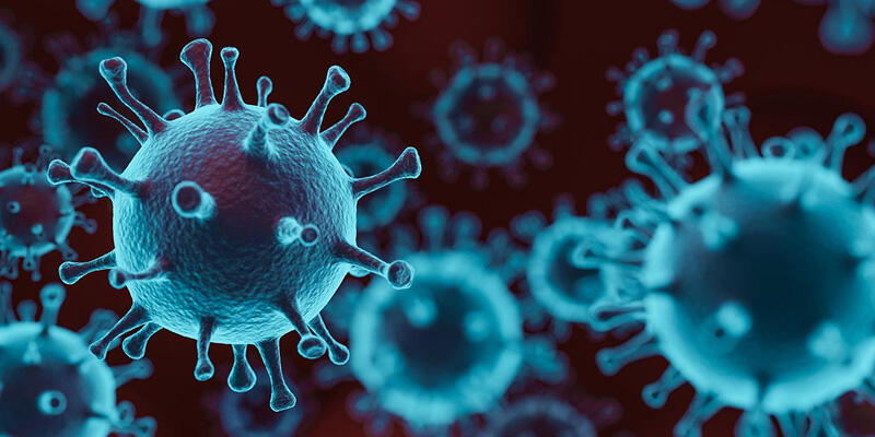 Koronavirüs sonrası yeni tehlike