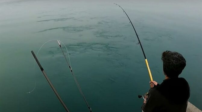 Oltasına takılanı görünce gözlerine inanamadı