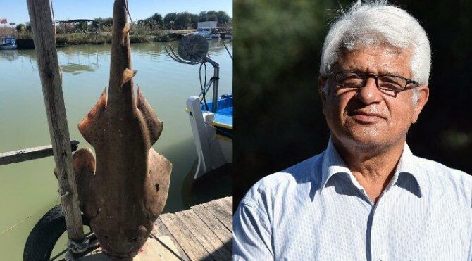 Profesörü isyan ettiren fotoğraf