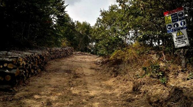 Şahin Dağları’nda doğa katliamı devam ediyor