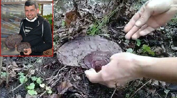 Şans eseri buldu: Kilosu dudak uçuklattı