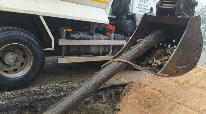 Sulama kanalından çıktı! ‘Yok artık’ dedirtti