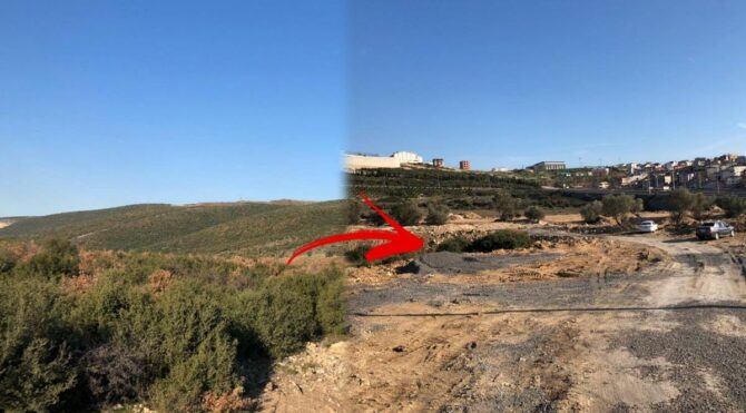 TIR parkı için asırlık yüzlerce zeytin ağacını kestiler