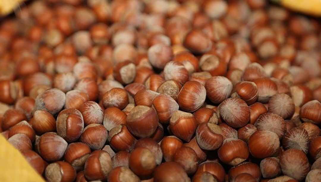 TMO'dan fındık açıklaması