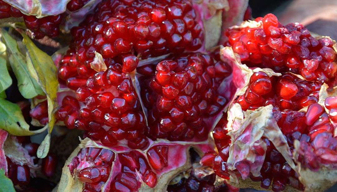 Türkiye'nin nar ihracatı 2020'de rekor kırdı