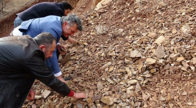 Yol yapımında kullanılıyordu, milyonlarca yılda oluştuğu tespit edildi