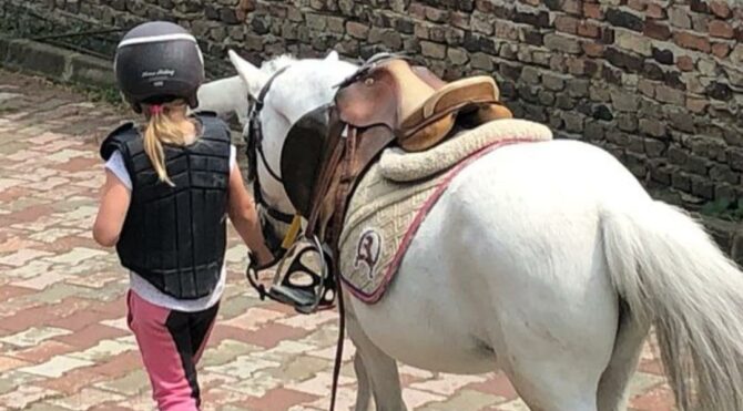 2021 yılı Pony Ligi başlıyor