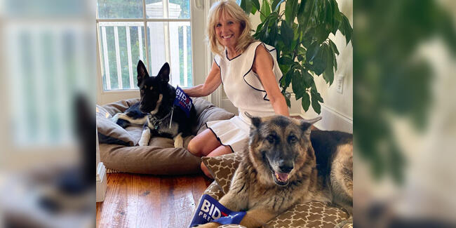 ABD Başkanı Biden’ın köpeği 'Major' Beyaz Saray'ı birbirine kattı