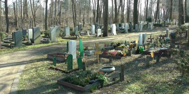 Almanya’daki Türklerin gözü tabutsuz kefen kararnamesinde