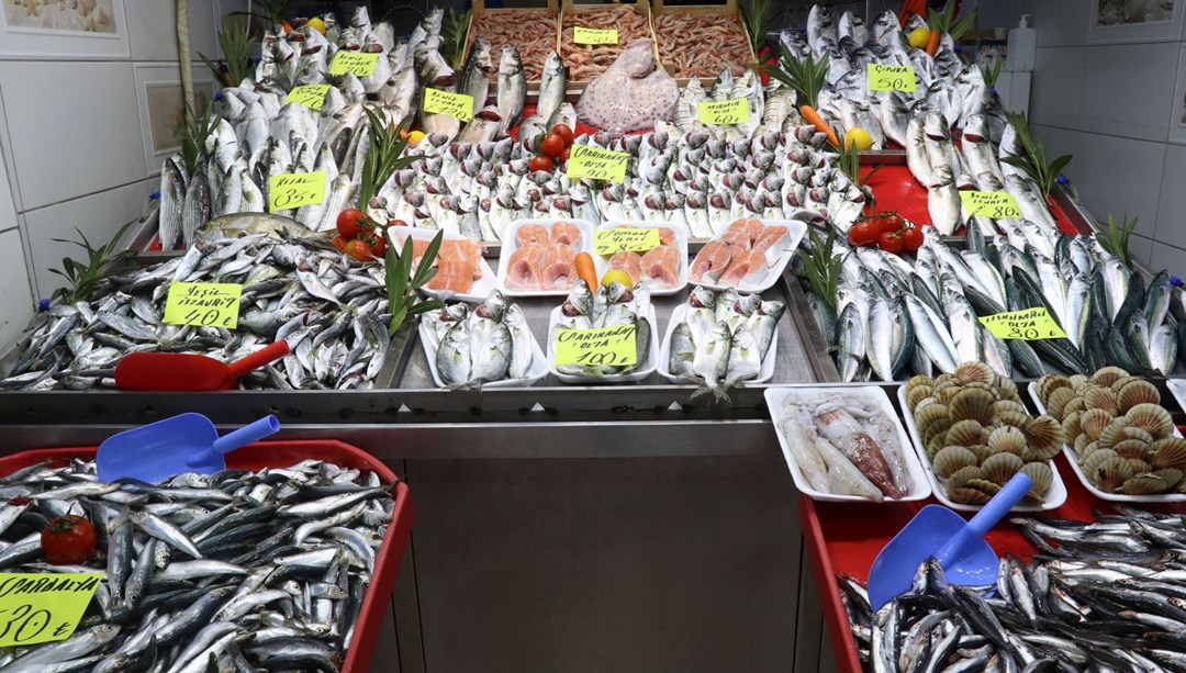 Çanakkale'de 'müsilaj' balık fiyatlarını arttırdı