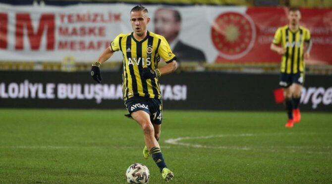 Dimitris Pelkas: Ağaca değil ormana bakmalısınız