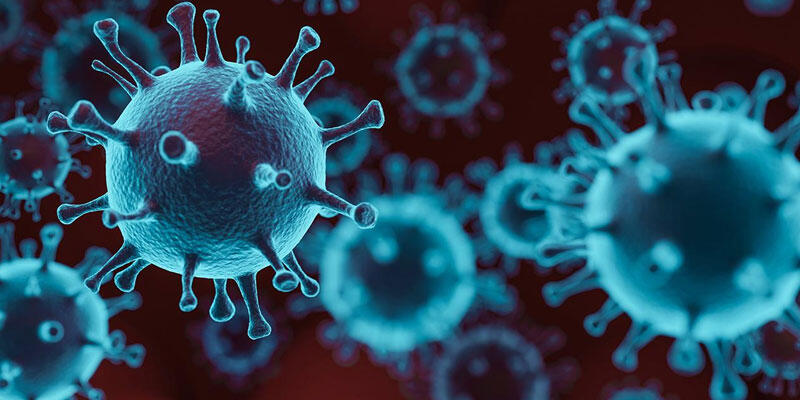 DSÖ: Kovid-19 salgınının 2021'de sona ermesini beklemek gerçekçi değil