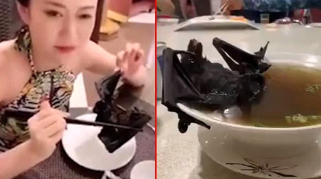 Dünya Sağlık Örgütü'nün Wuhan raporu ortaya çıktı: Virüs yarasalardan insanlara başka hayvanlar yoluyla bulaşmış olabilir