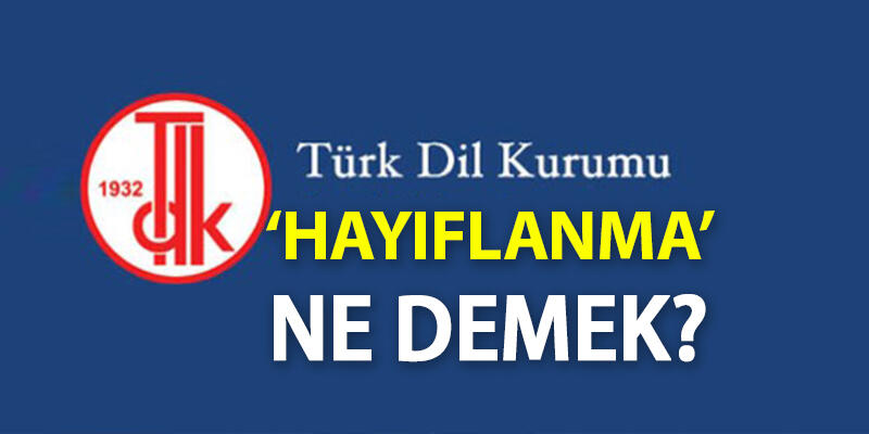 Hayıflanma Ne Demek? Tdk'ya Göre Hayıflanma Kelime Anlamı Nedir, Nasıl Kullanılır?