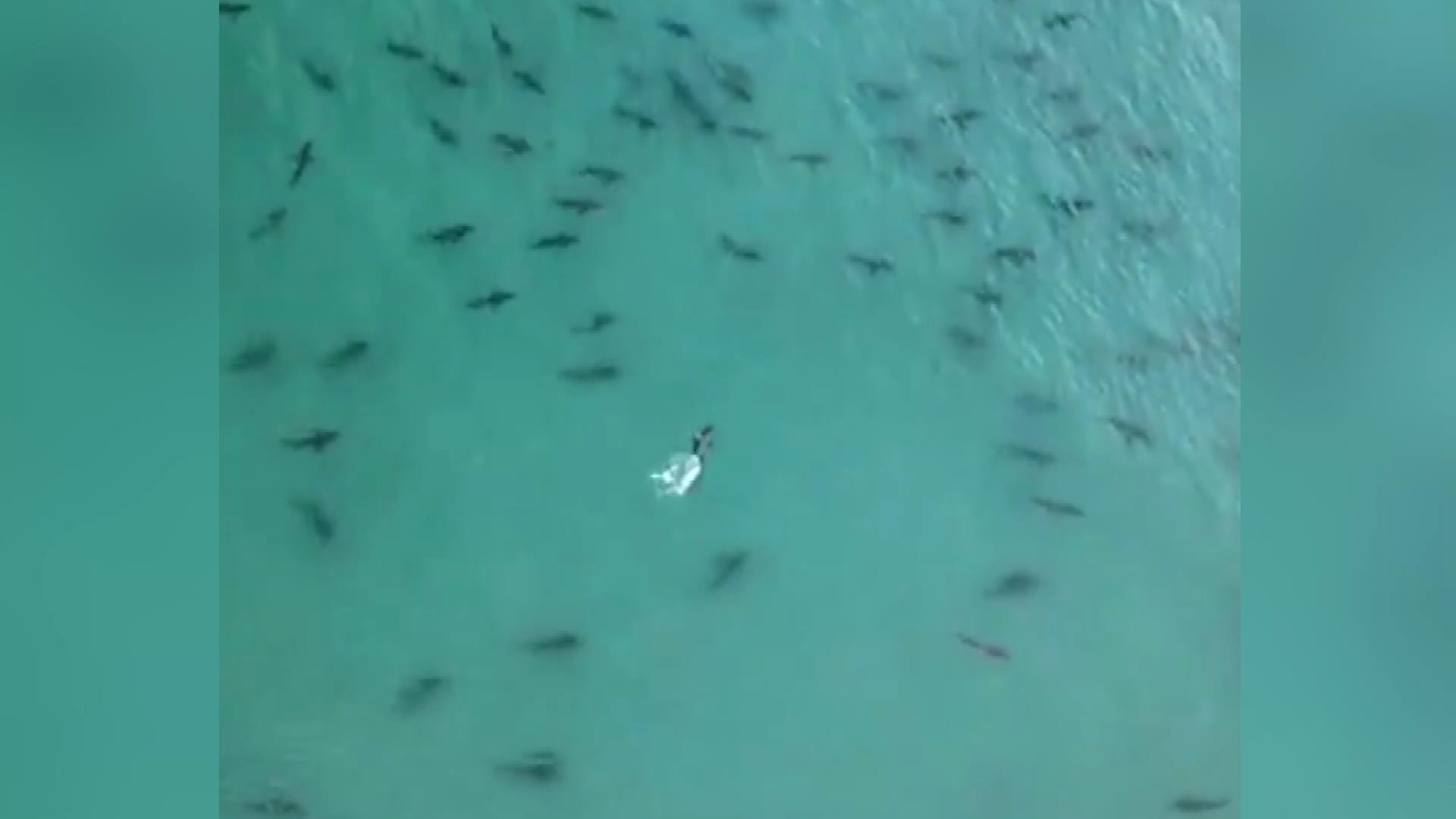 Korku dolu anlar! Havadan görüntülendi