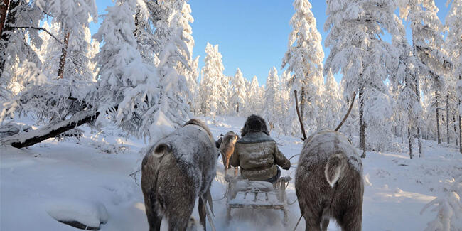 Rusya’da Yakutistan’da hava sıcaklığı eksi 50’nin altına düştü