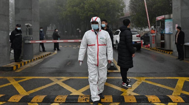 Son dakika... DSÖ'nün Wuhan raporu: Yarasalardan insanlara başka hayvanlar yoluyla bulaşmış olabilir