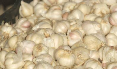 Avrupa Birliği’nde tescillendi