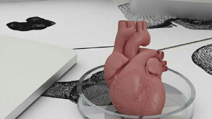Bilim insanları organ nakli ihtiyacını bitirmek istiyor