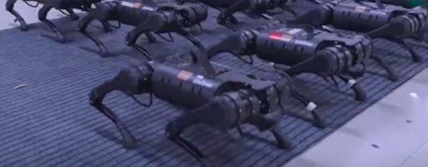 Çin merkezli robotik firması yeni robot ordusunu tanıttı