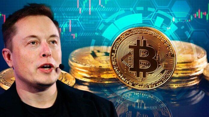 Elon Musk tweet attıkça Bitcoin alacak bir bot tasarlandı