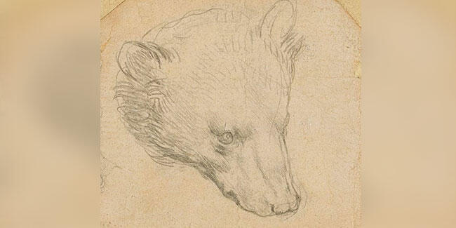Leonardo da Vinci'nin çizimi servet değerinde satılacak