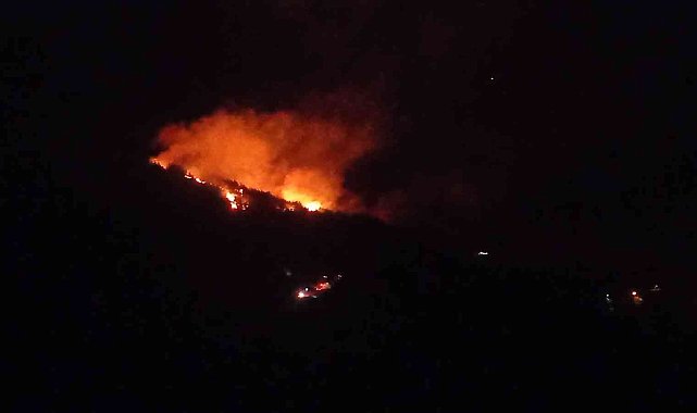 Adana'da orman yangını