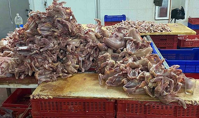 Ağızlarında sigara, üstleri çıplak tavuk kestiler, bir de oynadılar