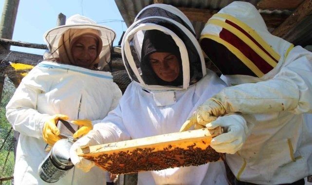 Aile boyu arıcı oldular