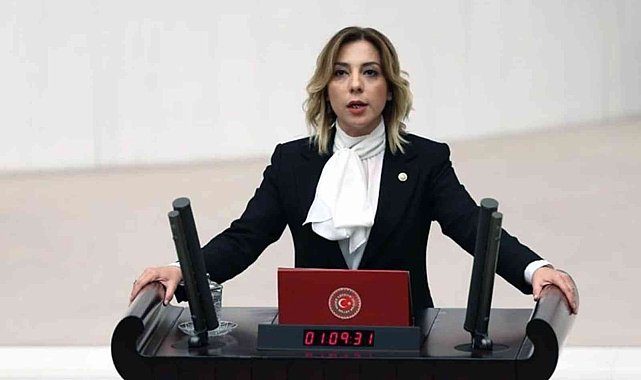 AK Parti Muğla Milletvekili Gökcan'dan 24 Temmuz Basın Bayramı mesajı