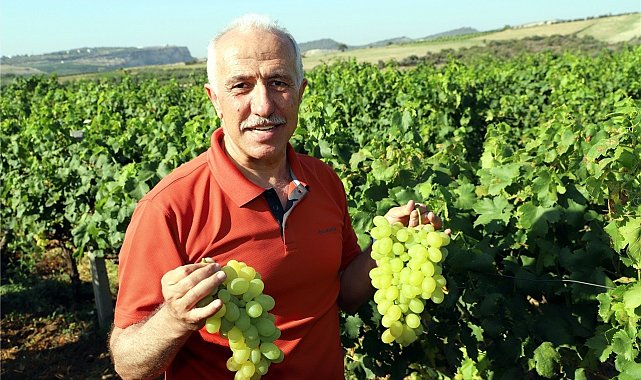Başkan Gültak, Mersinlileri Üzüm Şenliğine davet etti