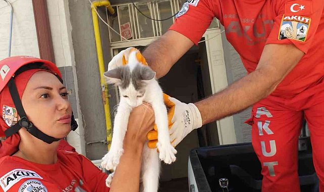 Binanın ikinci katında mahsur kalan kedi AKUT'un operasyonuyla kurtarıldı