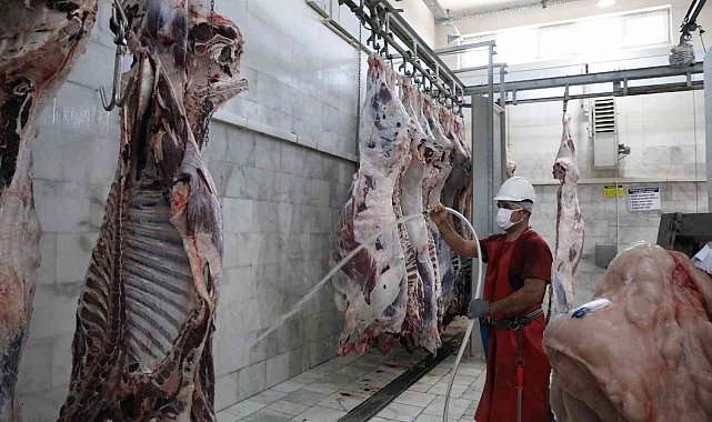 Büyükşehir mezbahalarında 31,6 milyon kilo kırmızı et üretildi