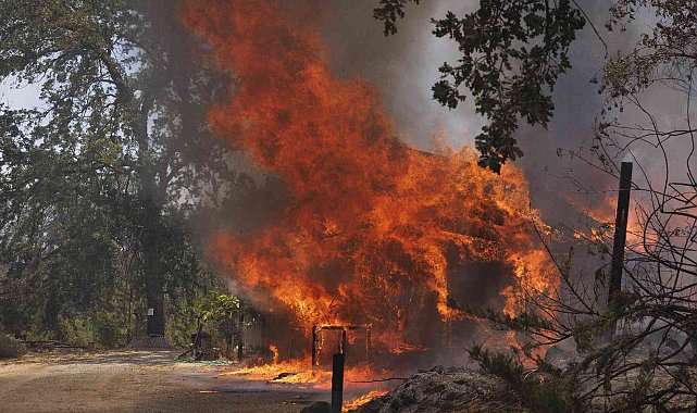 California'da orman yangını nedeniyle acil durum ilan edildi