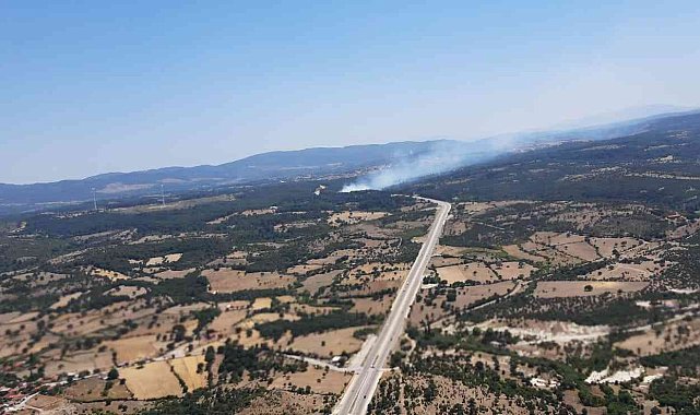 Çanakkale'de kaza yapan araç orman yangınına neden oldu