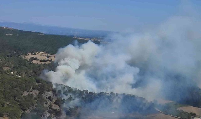 Çanakkale'deki orman yangını kontrol altında