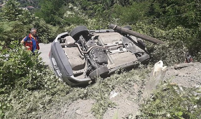 Elektrik direğine çarptı, ormanlık alana uçtu