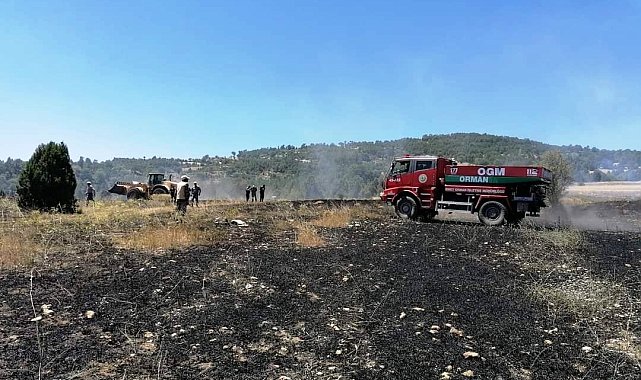 Emet'te 45 dönüm hububat ekili alan yandı