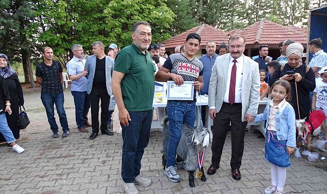 Emet'te oğlaklar podyuma çıktı