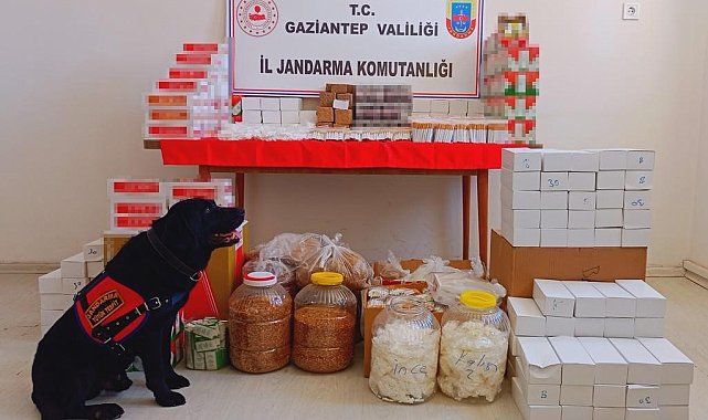 Gaziantep'te uyuşturucu ve kaçakçılık operasyonu: 76 gözaltı