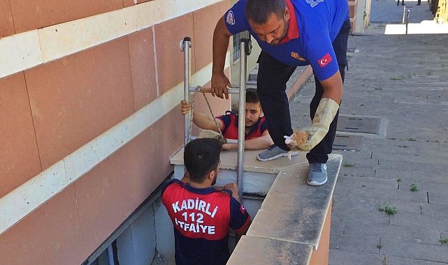 Havlandırma boşluğuna düşen yavru kediyi itfaiye kurtardı