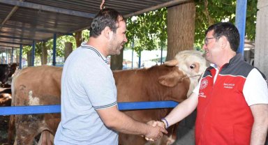 Hayvan satış ve kesim yerleri bayrama hazır