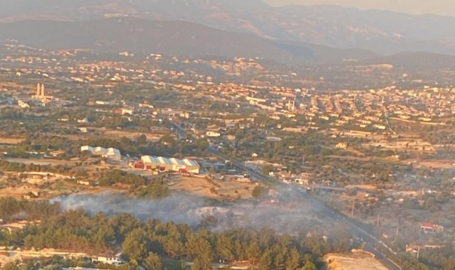 İzmir'de ağaçlık alanda yangın