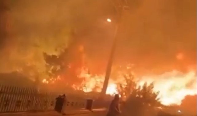 İzmir'de evlere yakın noktada yangın