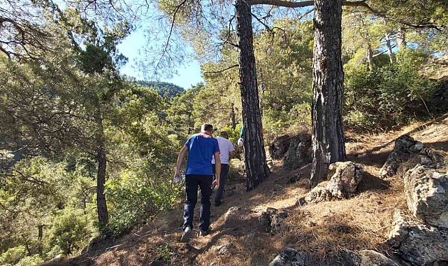 İzmir'de kaybolan alzheimer hastası yaşlı kadın Aydın'da aranıyor