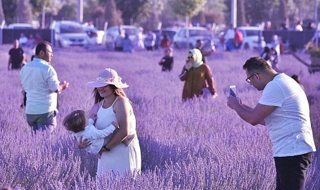Karatay Lavanta Günleri'ne 2 günde 120 bin kişi katıldı