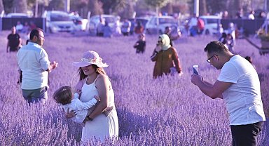 Karatay Lavanta Günleri'ne 2 günde 120 bin kişi katıldı