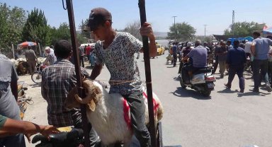 Kilis'te vatandaşlar kurbanlıklarını motosikletle taşıdı