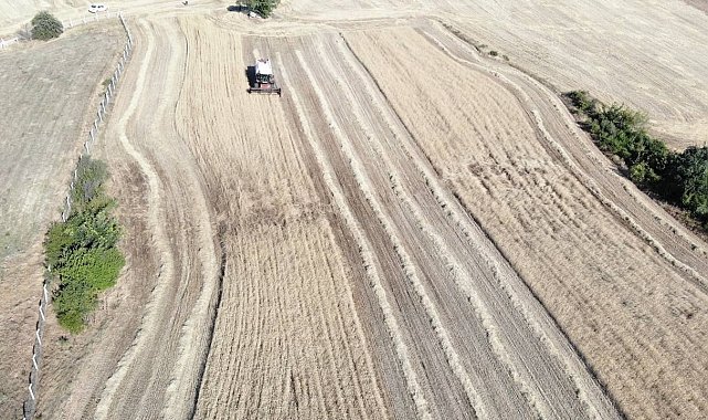 Kırklareli'de kurak bölgelerde verim düştü